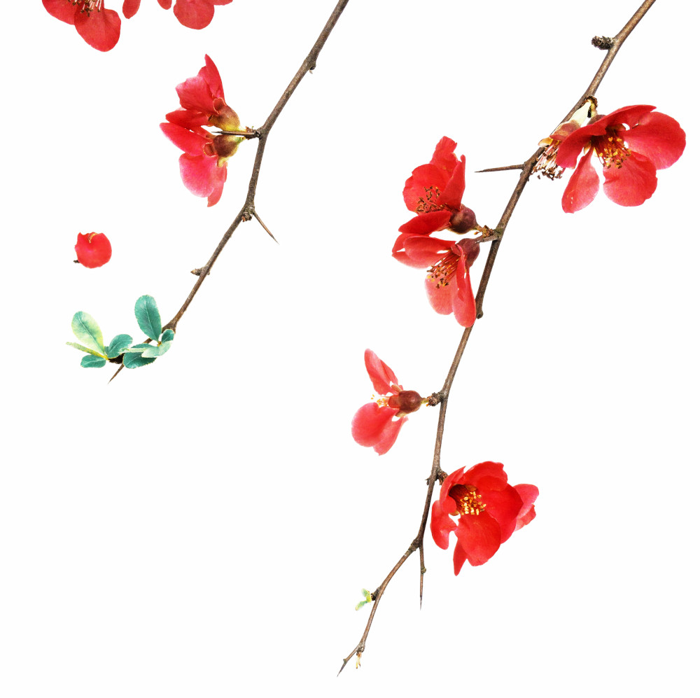 Hello Gorgeous, I am back